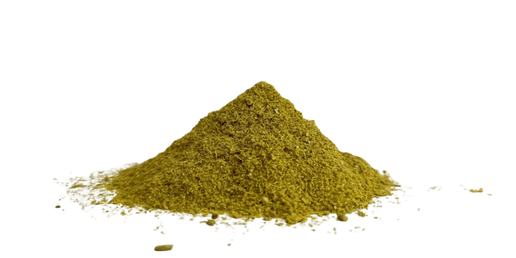 Chamomile in full bloom – perfect for soothing bedtime tea
