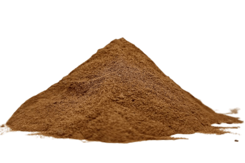 Ground cinnamon powder heap for chai, baking and Indian recipes