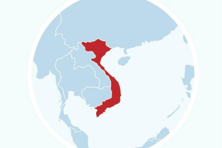Cinnamon from Vietnam