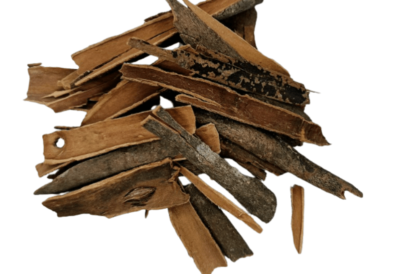 Rolled Ceylon true cinnamon quills (Cinnamomum verum) on white background