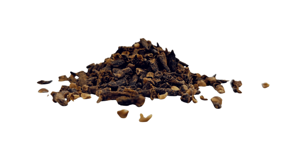 Coarse-cut dried cloves (Syzygium aromaticum) pieces on white background