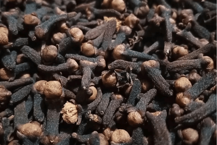 Whole dried cloves (Syzygium aromaticum) pile on white background